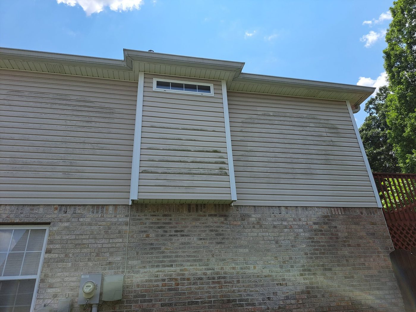 Algae-stained vinyl siding before cleaning