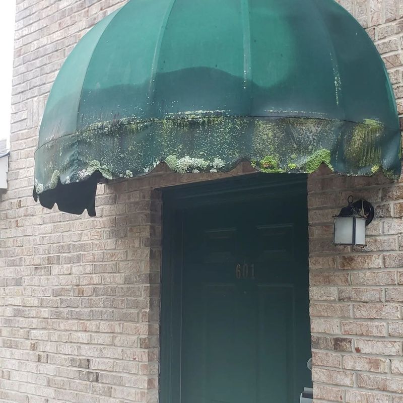 Awning canopy before soft washing — algae and weather staining