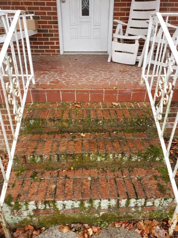 Brick steps with heavy moss buildup before soft washing
