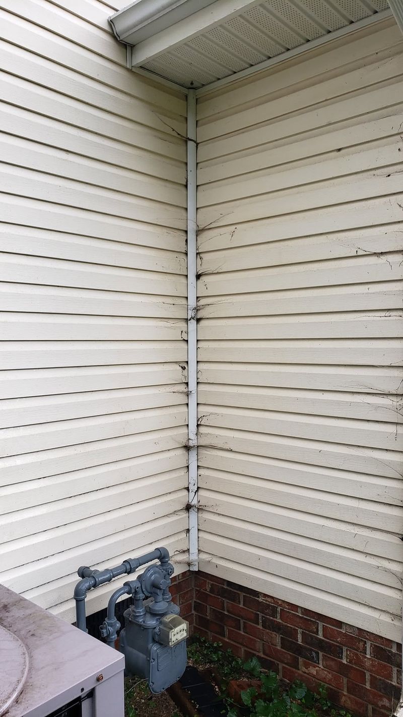 House corner with heavy spiderwebs before soft washing