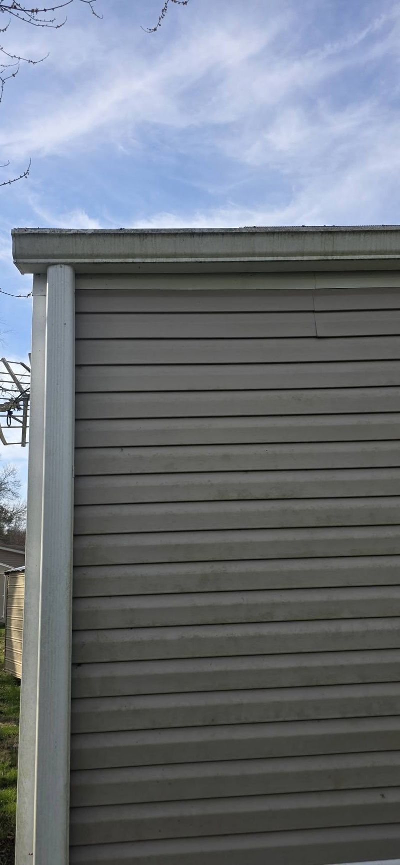Home skirting with green algae growth before soft washing