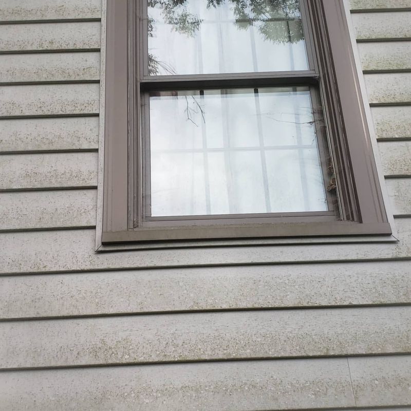 Window trim and siding with grime before soft washing